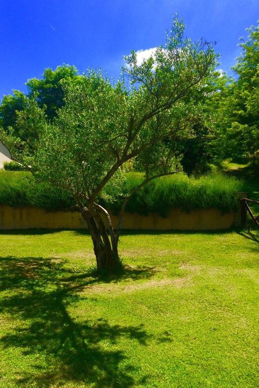 Agriturismo Acero Rosso Civitella di Romagna Exterior foto